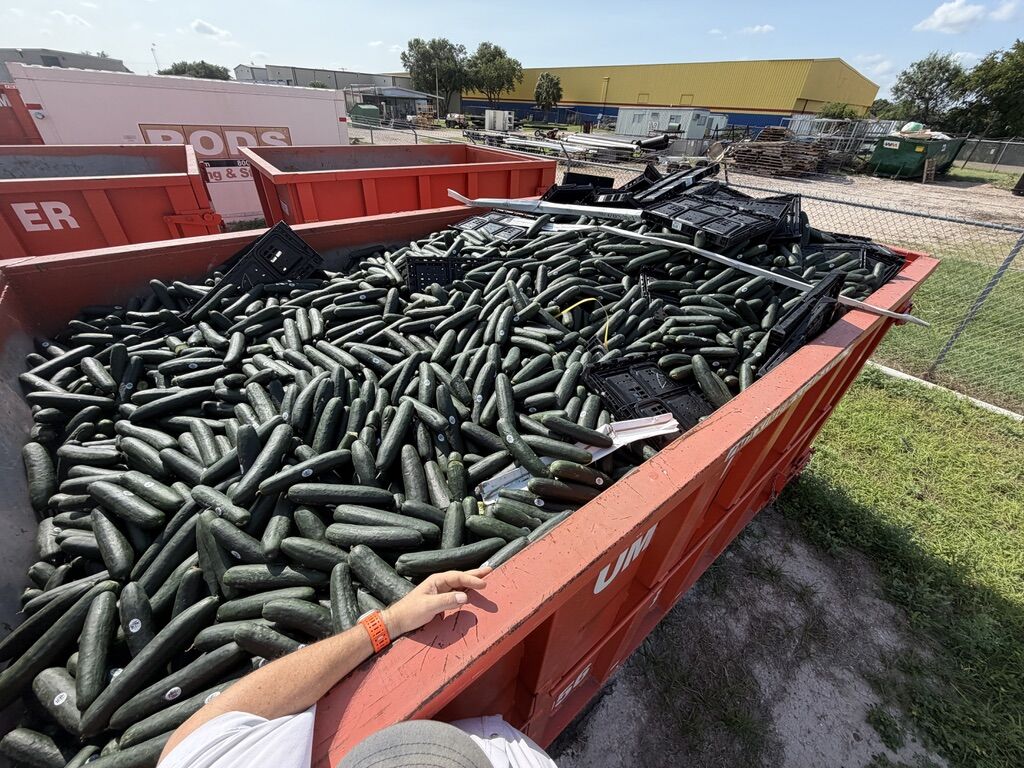 Roll-off dumpster filled with produce waste for a Rio Grande Valley packing shed